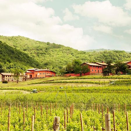 Agriturismo L'Uva E Le Stelle Faedis Exterior photo