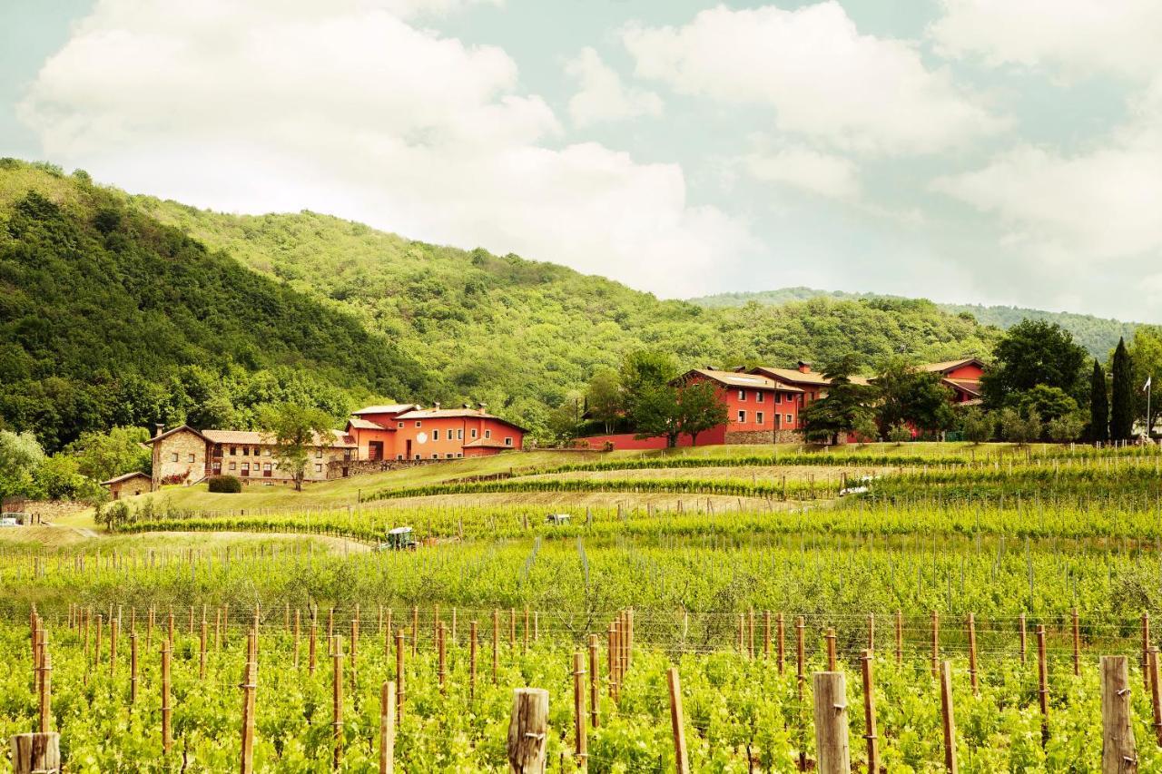 Agriturismo L'Uva E Le Stelle Faedis Exterior photo